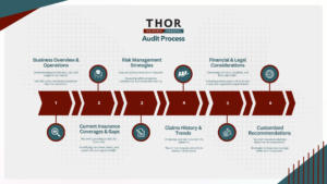 Inforgraphic showing Thor Insurance's Audit Process