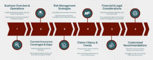 Inforgraphic showing Thor Insurance's Audit Process